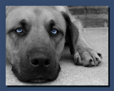 Blue