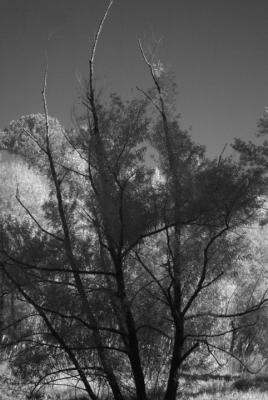 IR01.jpg