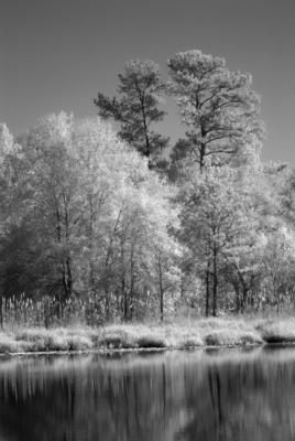 IR02.jpg