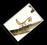 Mantissa