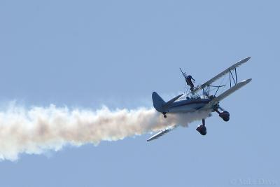 Silver Wings