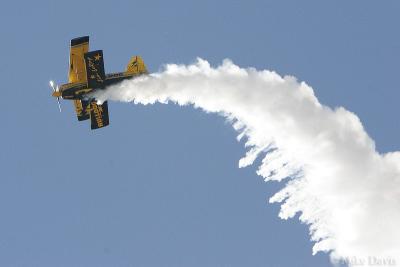 The Bulldog - Pitts S2S