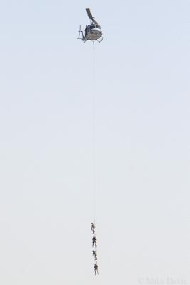 Insertion