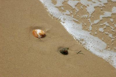 Deux sur le sable....