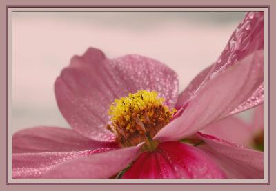 Cosmos with droplets