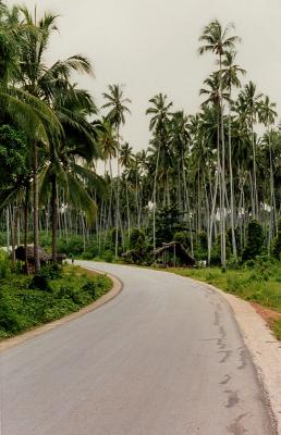 Typical Zanzibar road (but rare)
