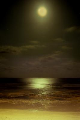 Zanzibar moon