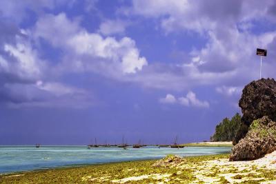 Zanzibar beach Muirauda