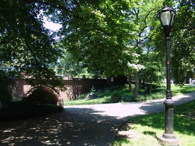 046 domingo no central park