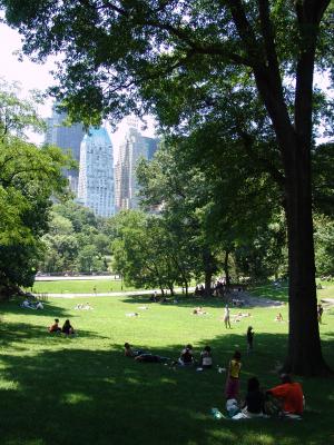 052 gramado no central park