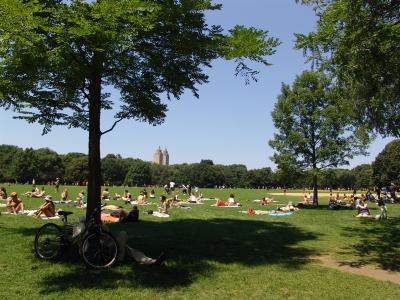 054 calor no great lawn
