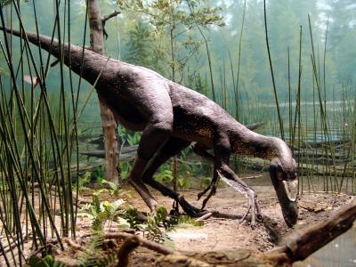 135 expo dinosaurs - museu de historia natural
