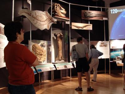 137 expo dinosaurs - museu de historia natural