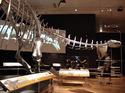 138 expo dinosaurs - museu de historia natural