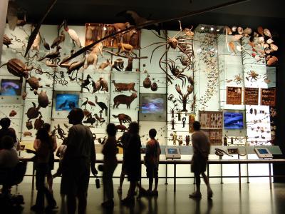 145 sala da biodiversidade