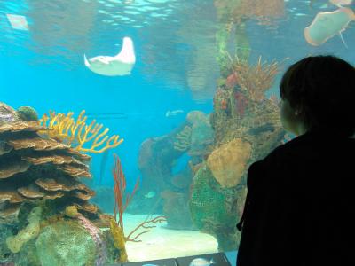 162 ny aquarium