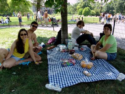 238 piquenique no central park