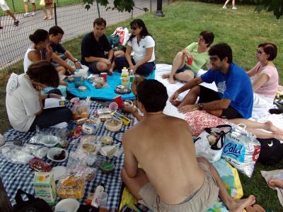 240 piquenique no central park