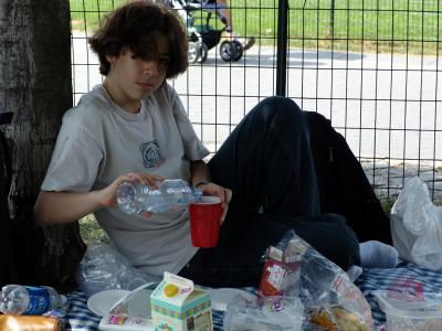 243 piquenique no central park