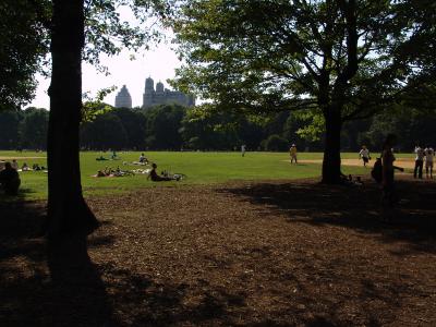 248 central park