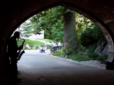 253 sax under the greywacke arch