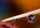 natures_droplets