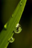 Droplets2.jpg