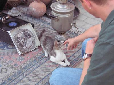 Kitty-love with Christopher, among the antiques.
