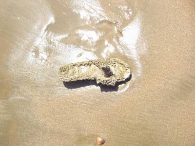 A totally decroded sandal on the beach.  Its covered with barnacles.