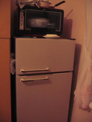 The fridge and a little toaster oven.