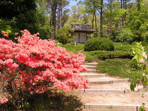 Mytoi Gardens.JPG