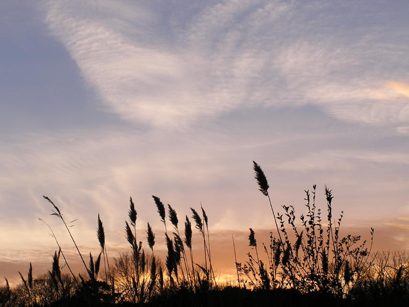 Edgartown skies.JPG