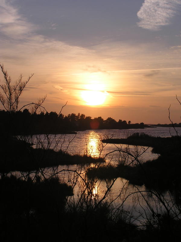 Sunny side.JPG