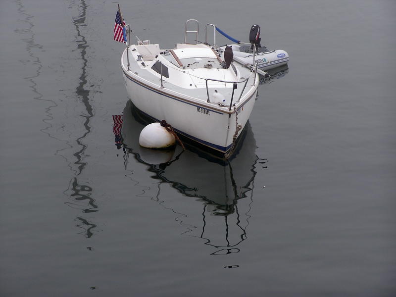 reflections in Vineyard Haven Harbor.JPG
