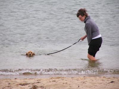 Swimming the dog.JPG