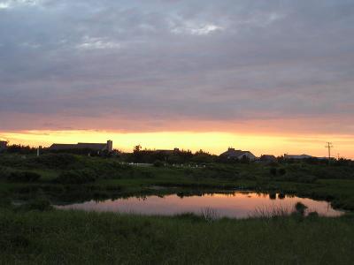 Pond reflections.JPG