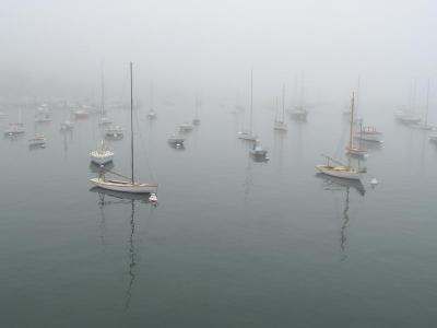foggy harbor Vineyard Haven.jpg