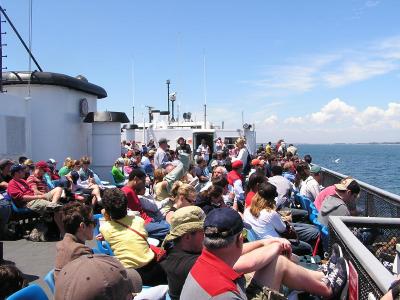 Vineyard Ferry.jpg