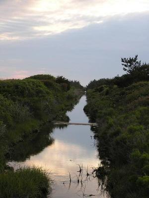Herring Creek.JPG