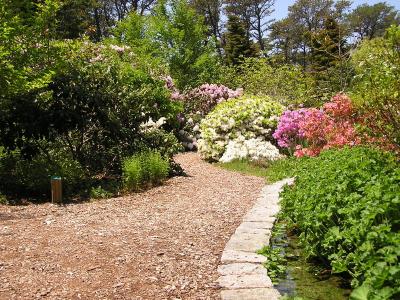 Mytoi Gardens Chappaquidick.jpg