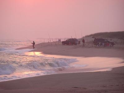 MV Bass  Bluefish Derby begins again.jpg