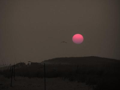 Near sundown- South Beach.jpg