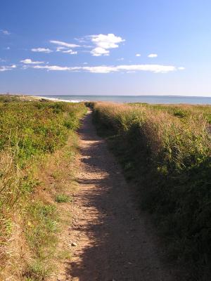 Beach path.JPG