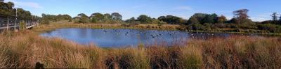 Gooseneck Pond.jpg