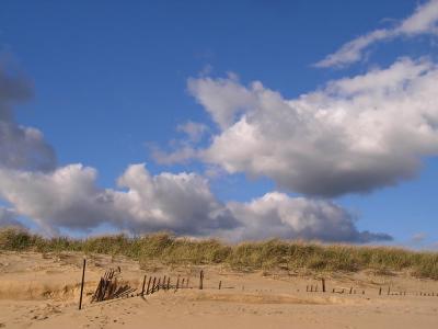 Edgartown dune fence.jpg