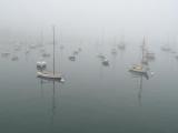 foggy harbor Vineyard Haven.jpg