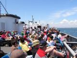 Vineyard Ferry.jpg