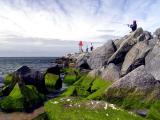 Green rocks and fish.JPG