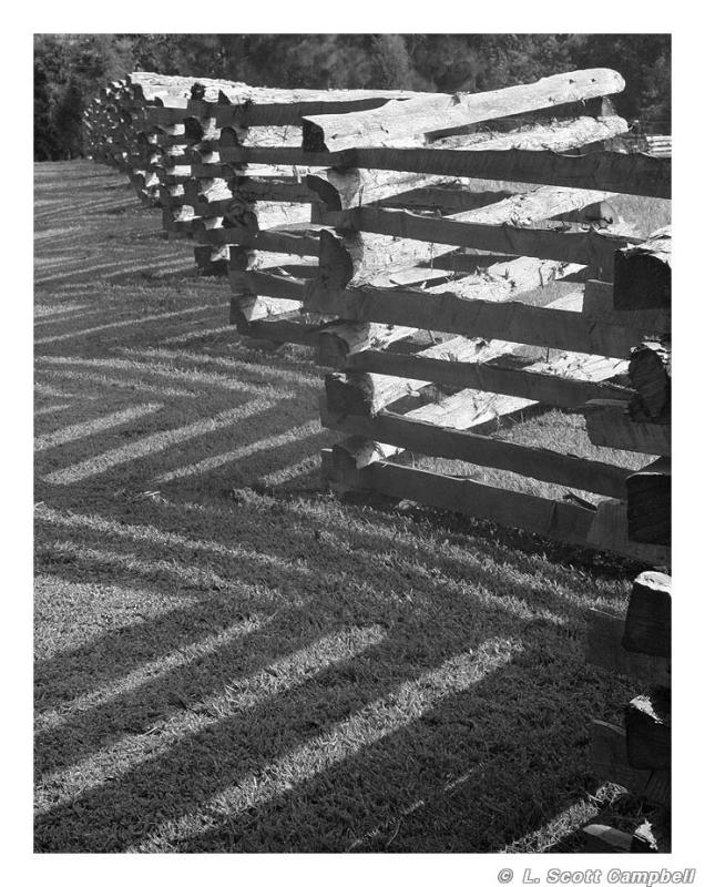 Fence.1305.jpg