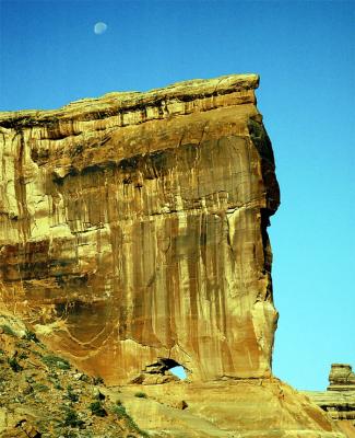 Utah Family Moon over red rocks.jpg